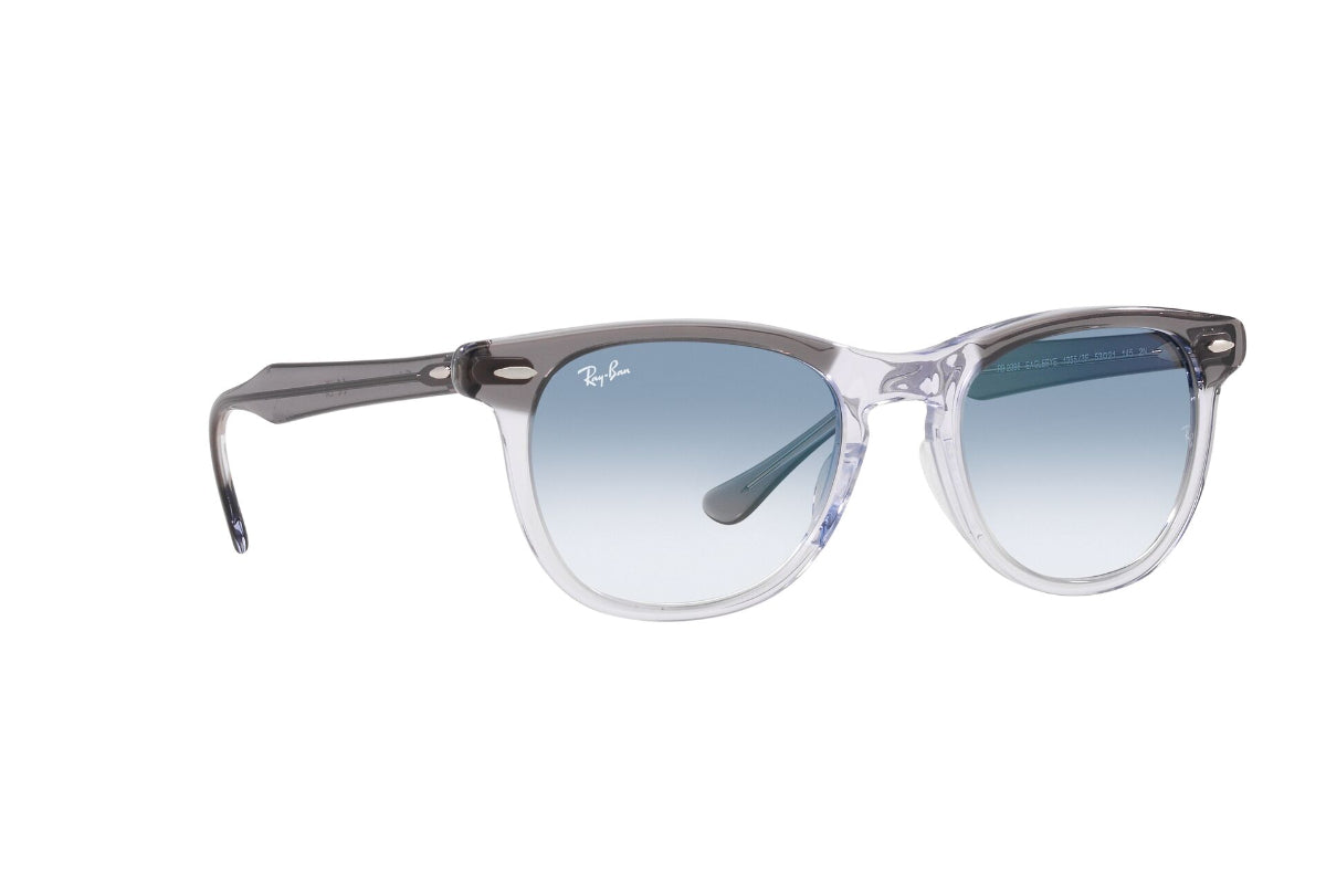 Ray-Ban Lentes de Sol Eagleeye RB2398