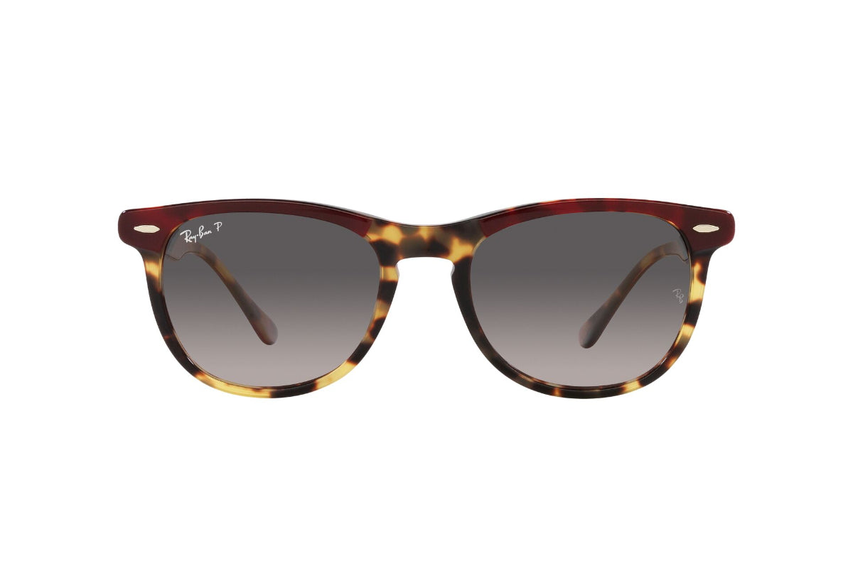 Ray-Ban Lentes de Sol Eagleeye Polarizados RB2398
