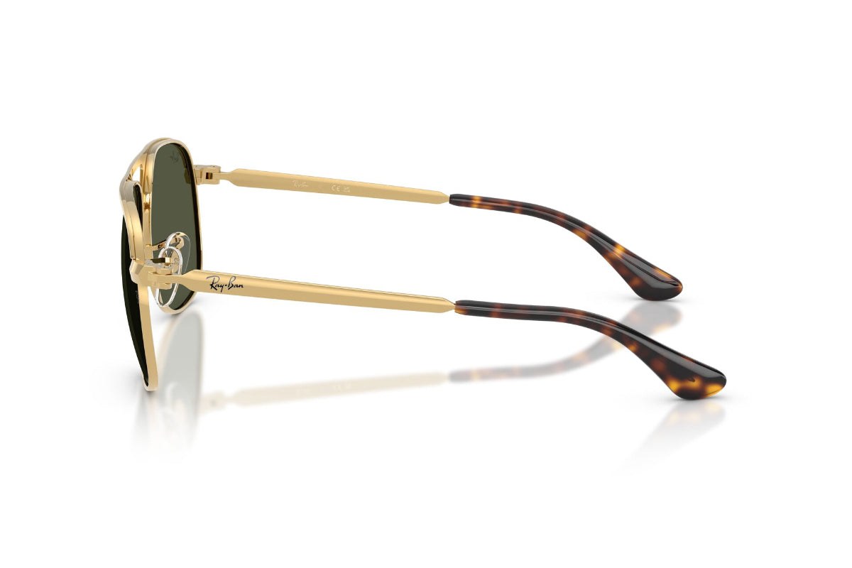 Ray-Ban Lentes de Sol Bill Max RB3793