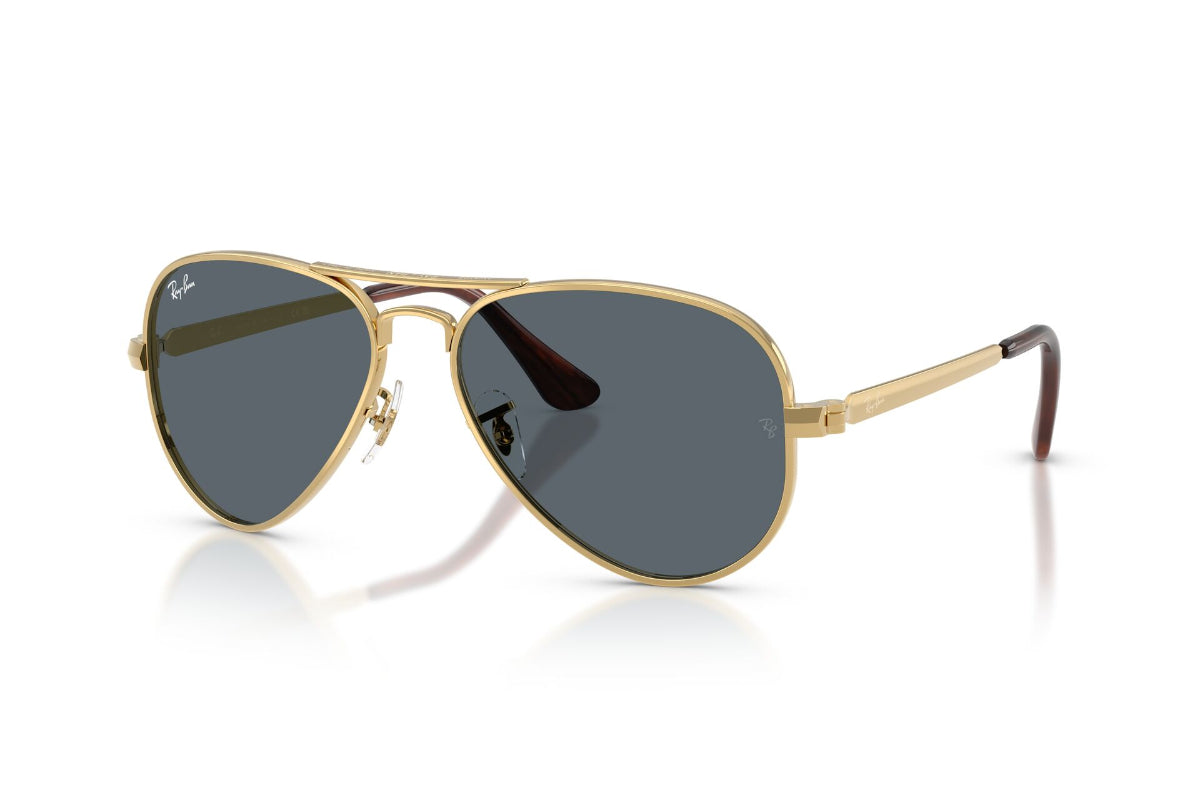 Ray-Ban Lentes de Sol Aviator Max RB3925
