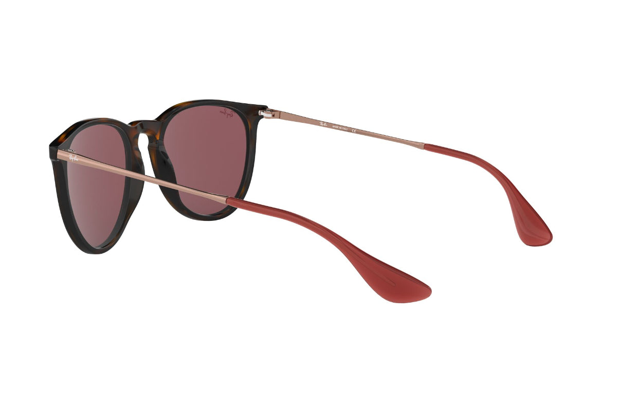 Lentes de Sol Erika Havana Dark Violet Ray-Ban