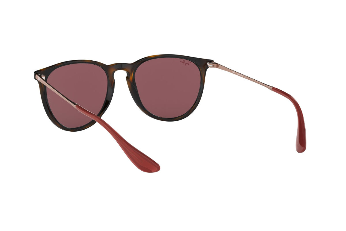 Lentes de Sol Erika Havana Dark Violet Ray-Ban