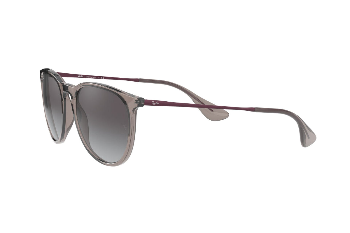 Lentes de Sol Erika Transparent Grey Ray-Ban