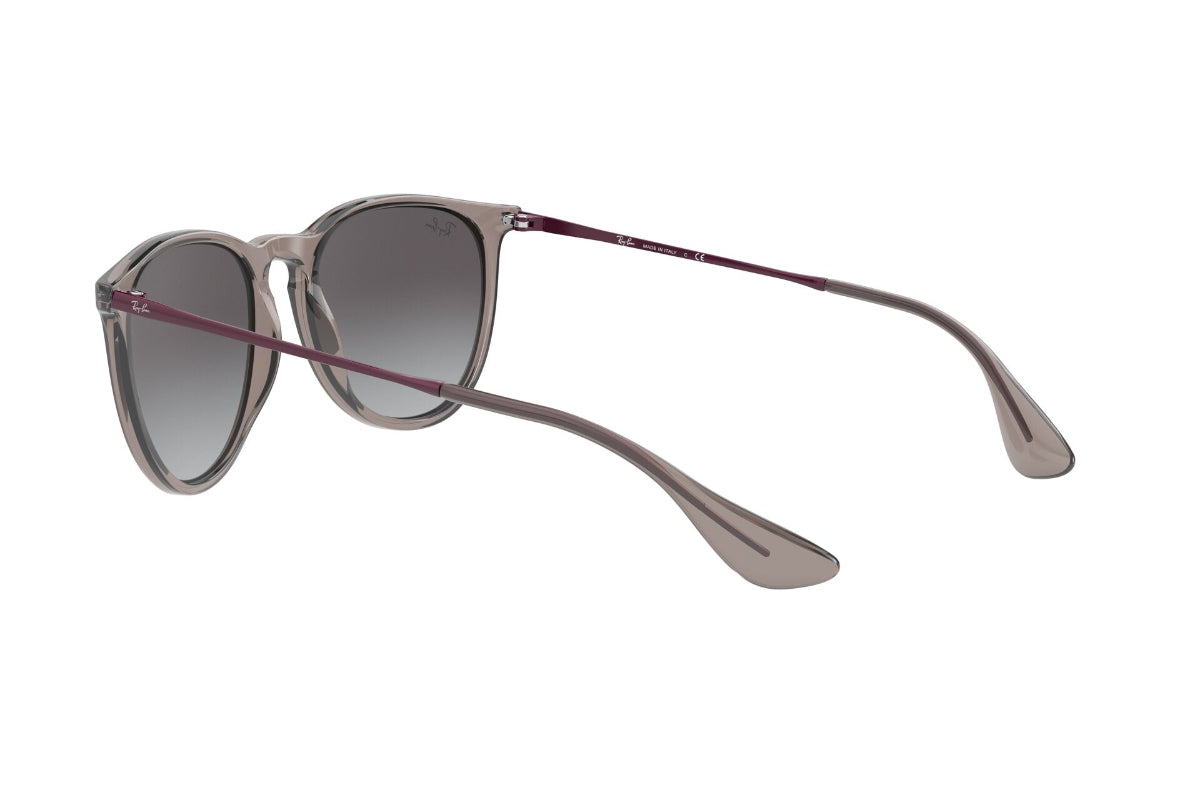 Lentes de Sol Erika Transparent Grey Ray-Ban