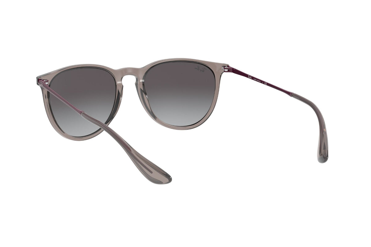 Lentes de Sol Erika Transparent Grey Ray-Ban