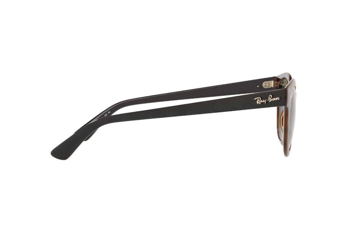 Lentes de Sol Havana Ray-Ban