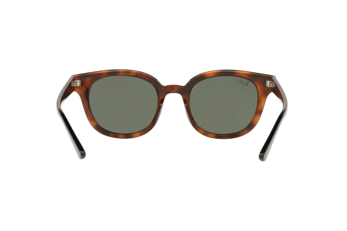 Lentes de Sol Havana Ray-Ban