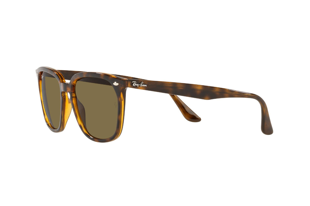 Lentes de Sol Havana Ray-Ban