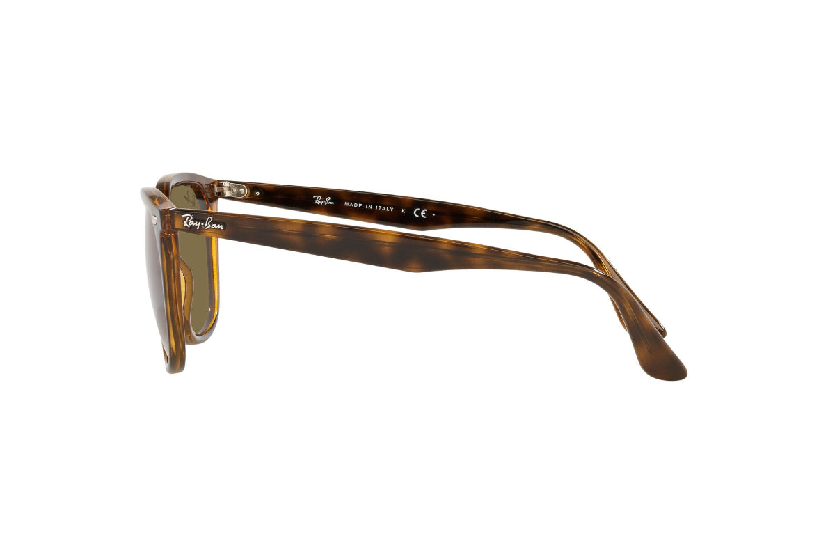 Lentes de Sol Havana Ray-Ban