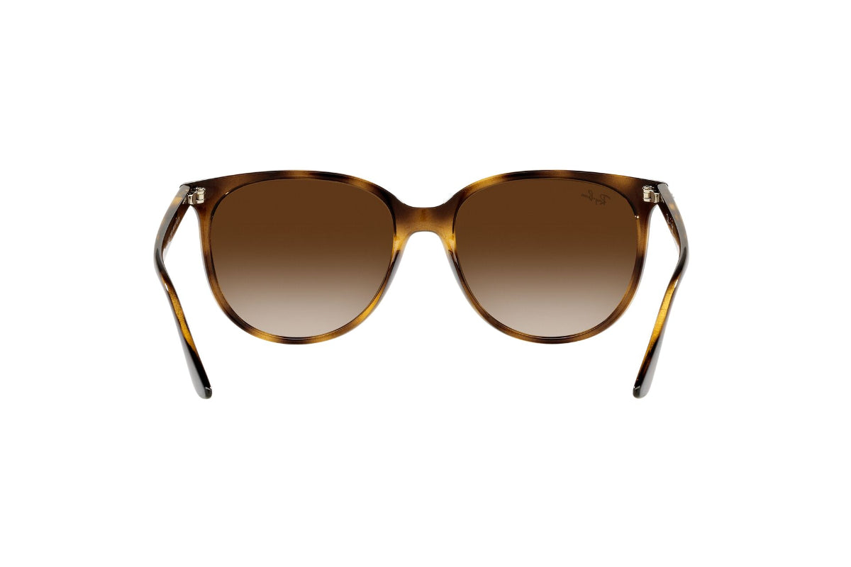 Ray-Ban Lentes de Sol RB4378