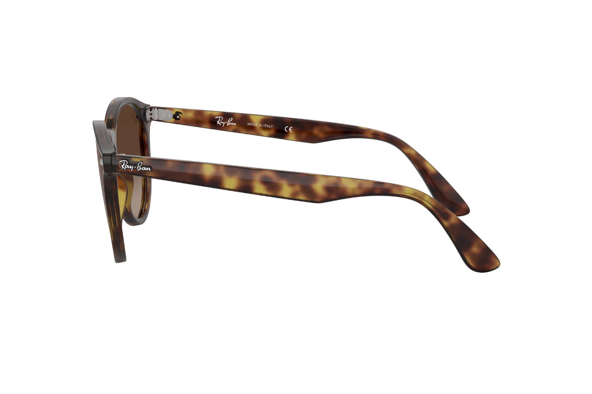 Lentes de Sol Blaze Panthos Havana Ray-Ban