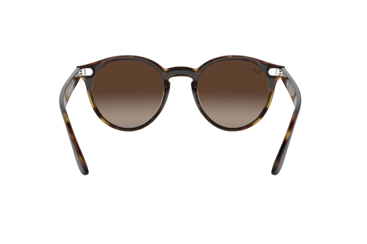 Lentes de Sol Blaze Panthos Havana Ray-Ban