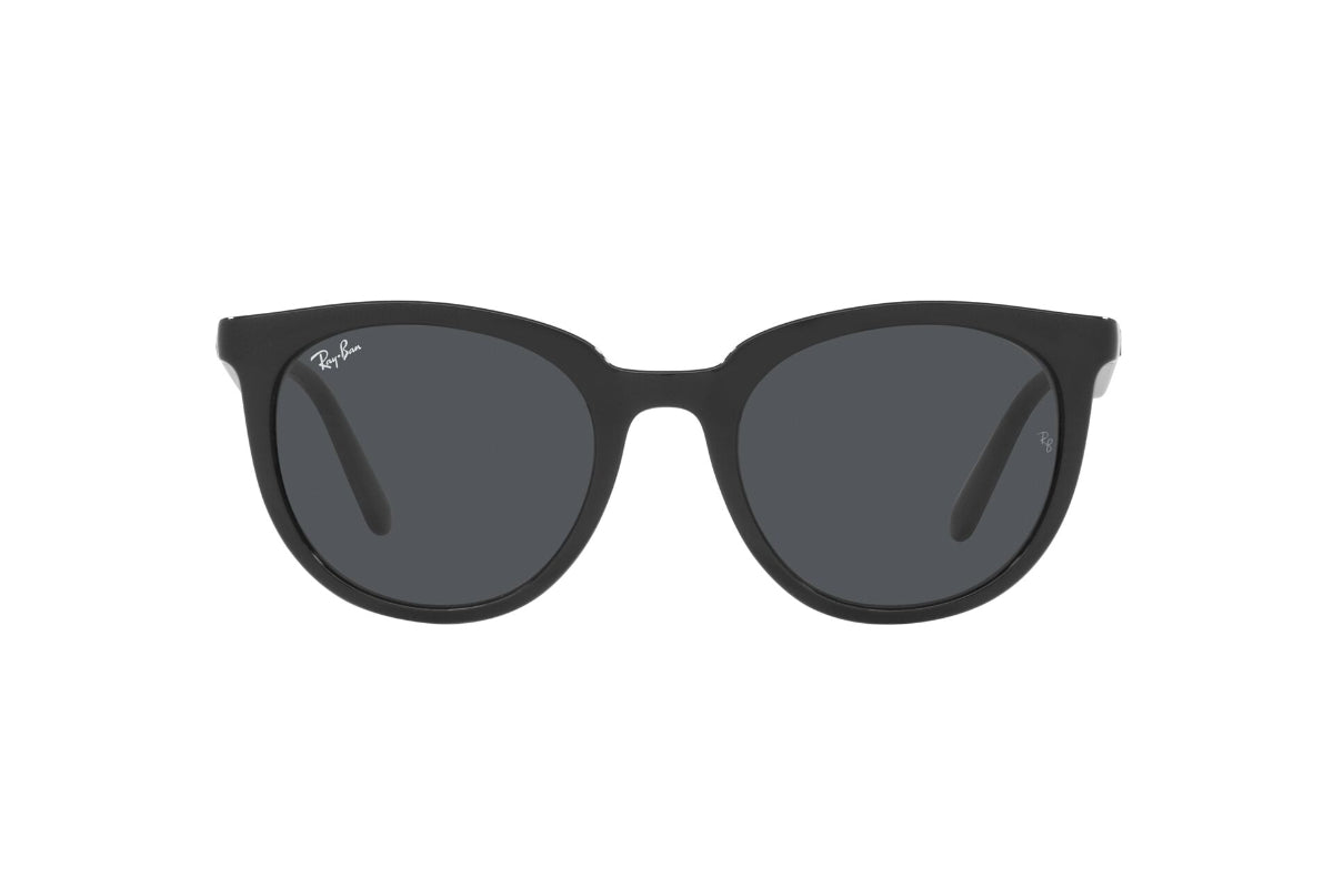 Ray-Ban Lentes de Sol RB4383L