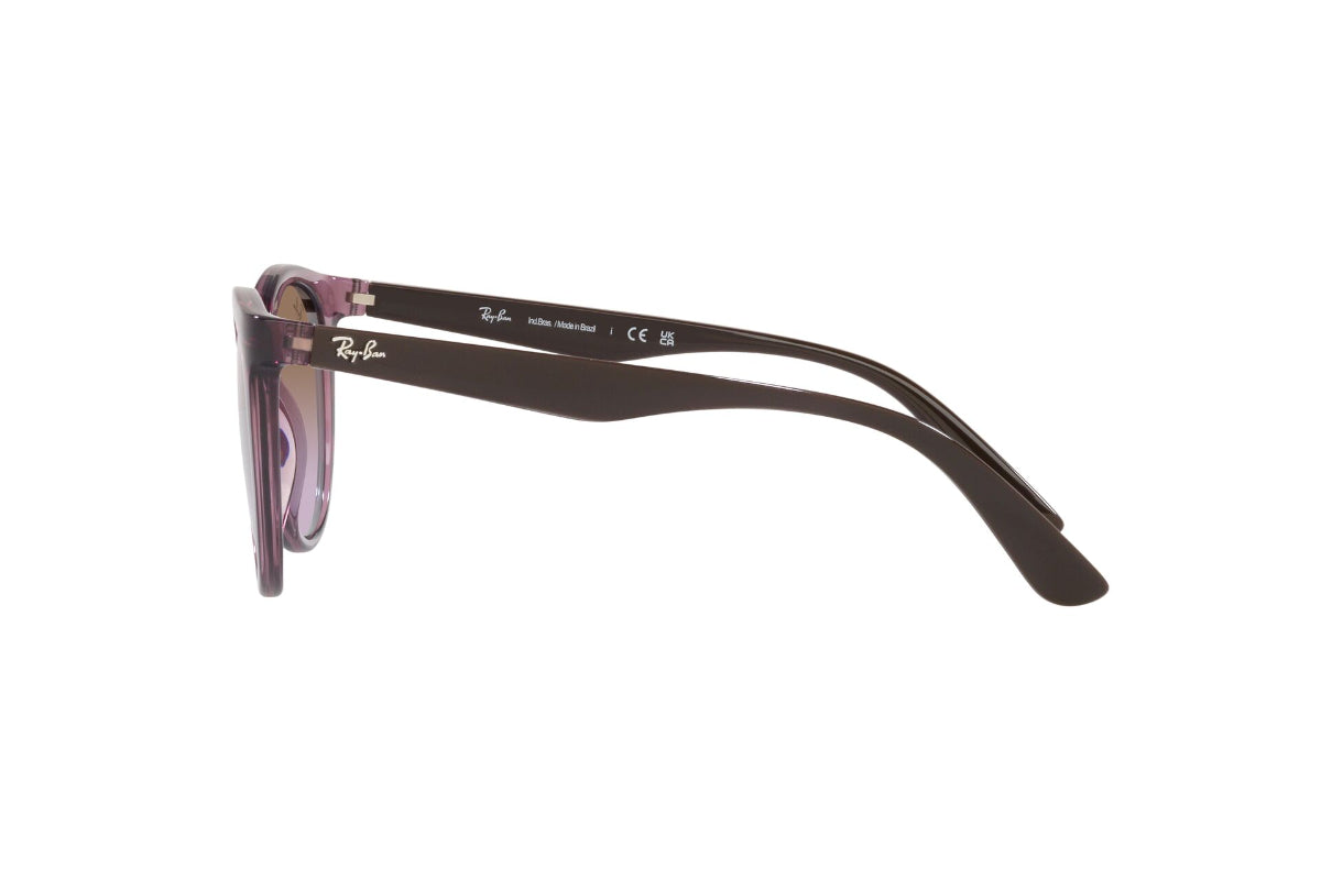 Ray-Ban Lentes de Sol RB4383L