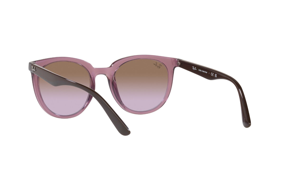 Ray-Ban Lentes de Sol RB4383L