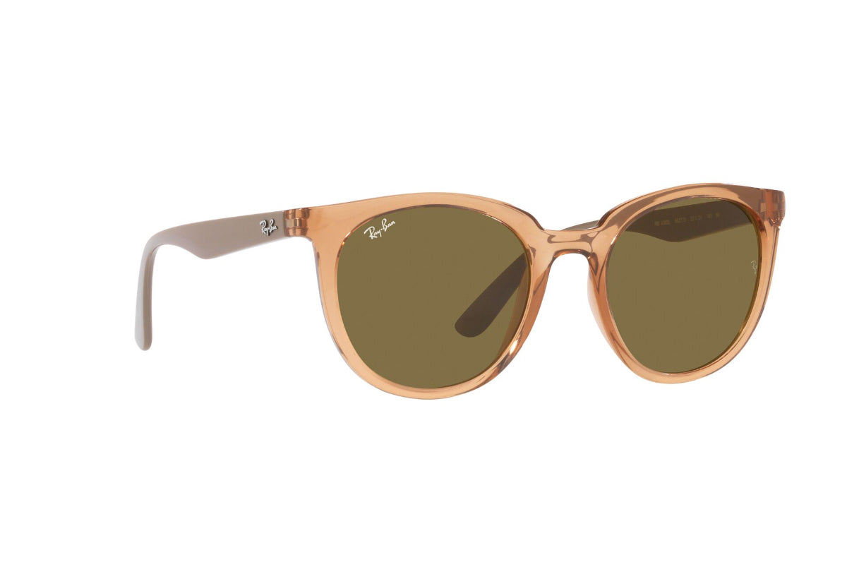 Ray-Ban Lentes de Sol RB4383L