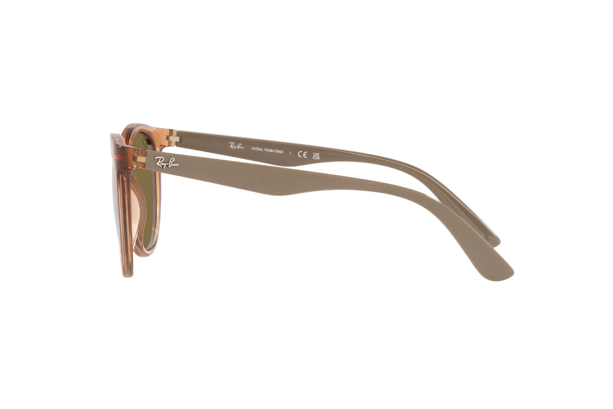 Ray-Ban Lentes de Sol RB4383L