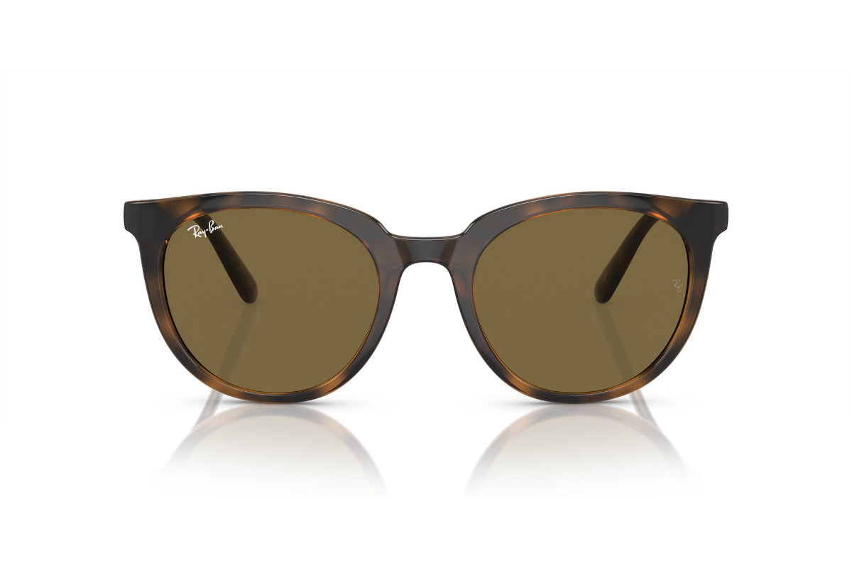 Ray-Ban Lentes de Sol RB4383L
