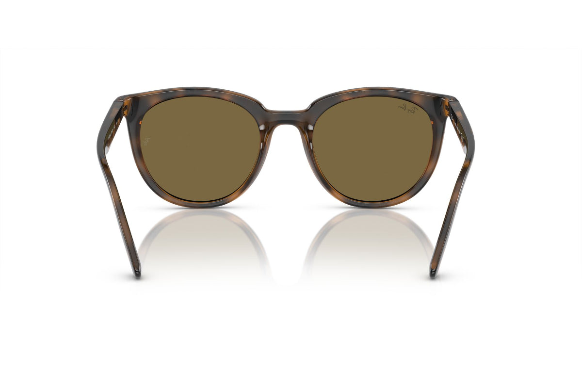 Ray-Ban Lentes de Sol RB4383L
