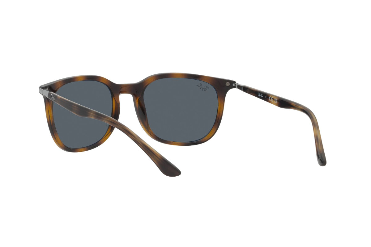 Ray-Ban Lentes de Sol RB4386