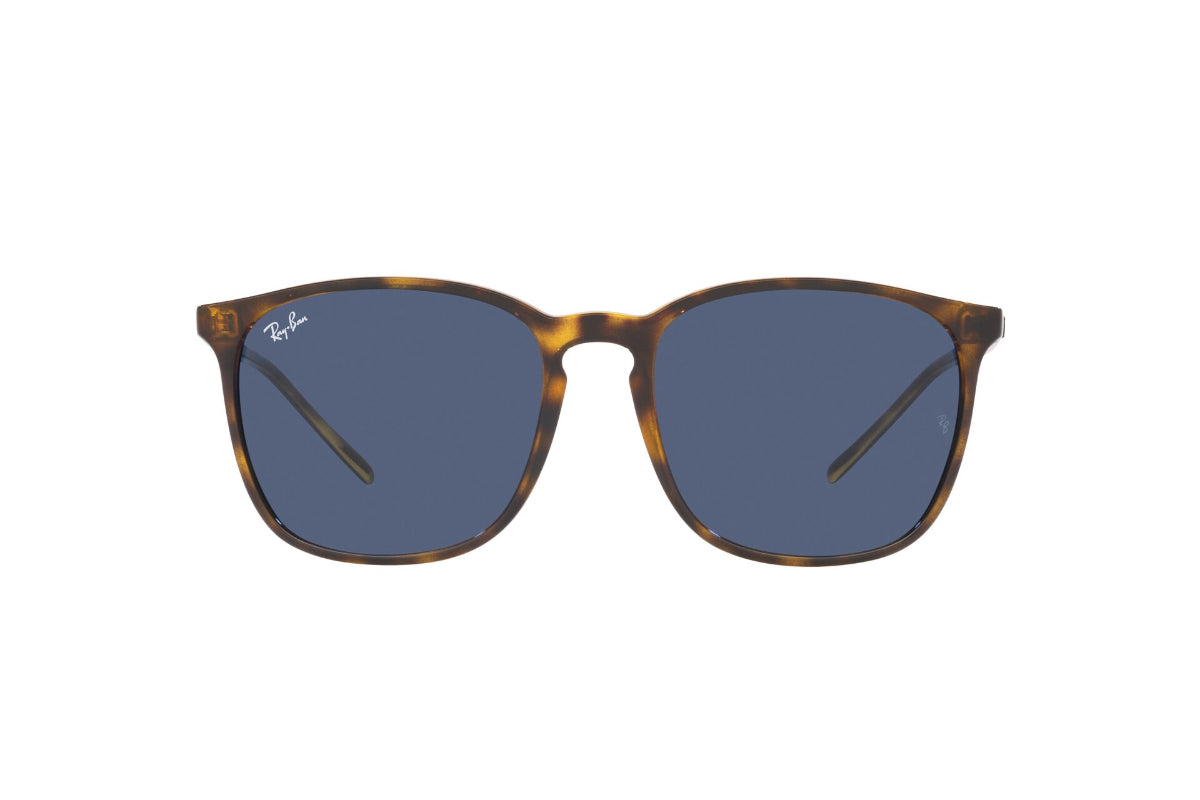 Ray-Ban Lentes de Sol RB4387