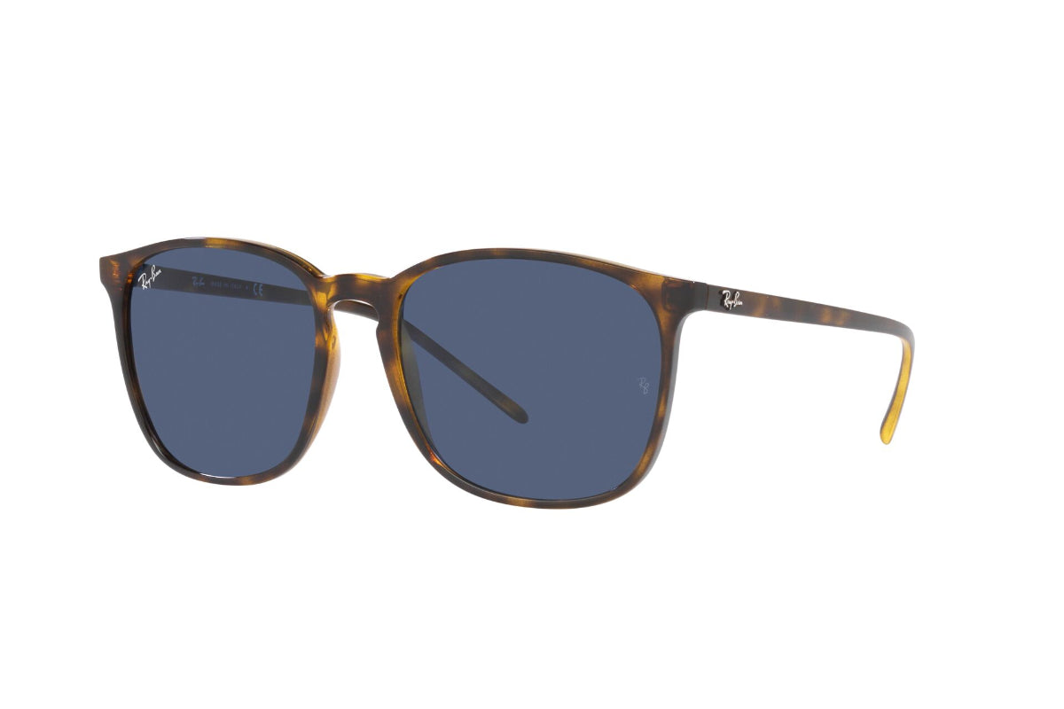 Ray-Ban Lentes de Sol RB4387