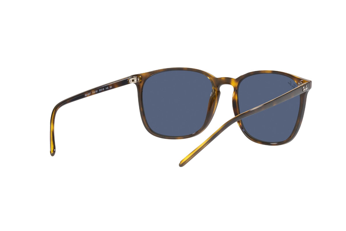 Ray-Ban Lentes de Sol RB4387