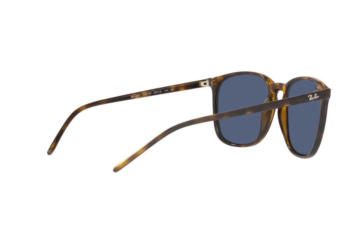 Ray-Ban Lentes de Sol RB4387