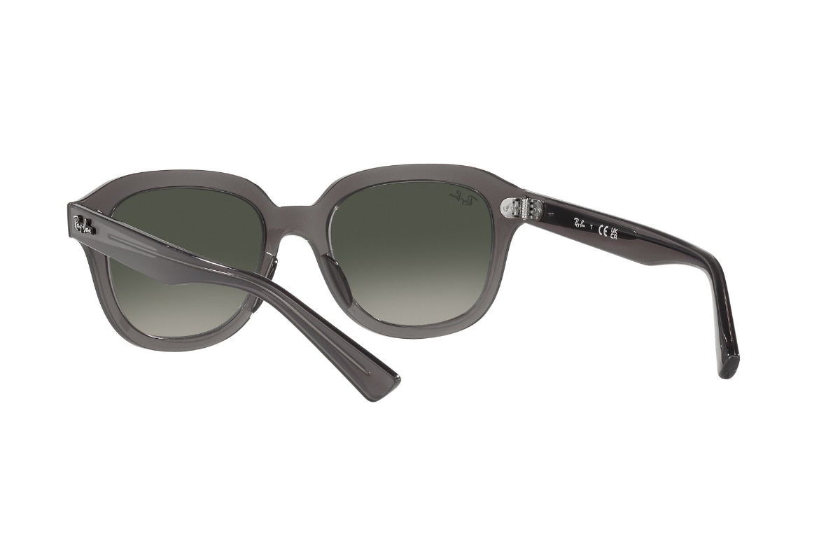 Ray-Ban Lentes de Sol Erik RB4398