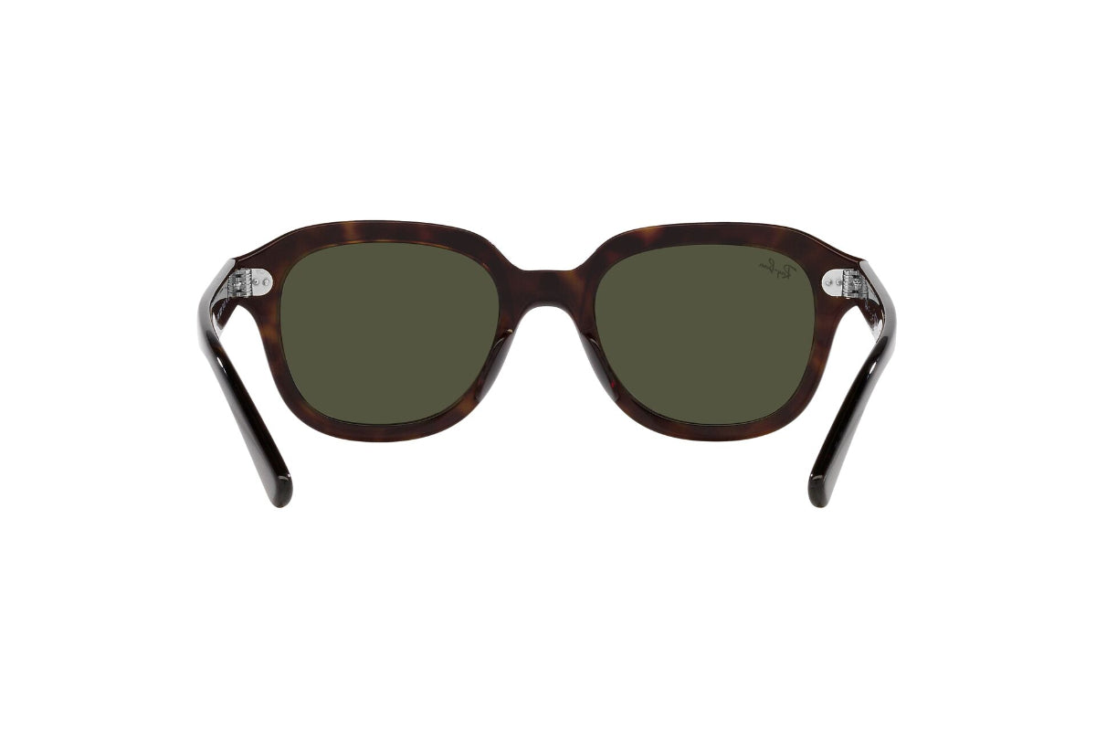 Ray-Ban Lentes de Sol Erik RB4398