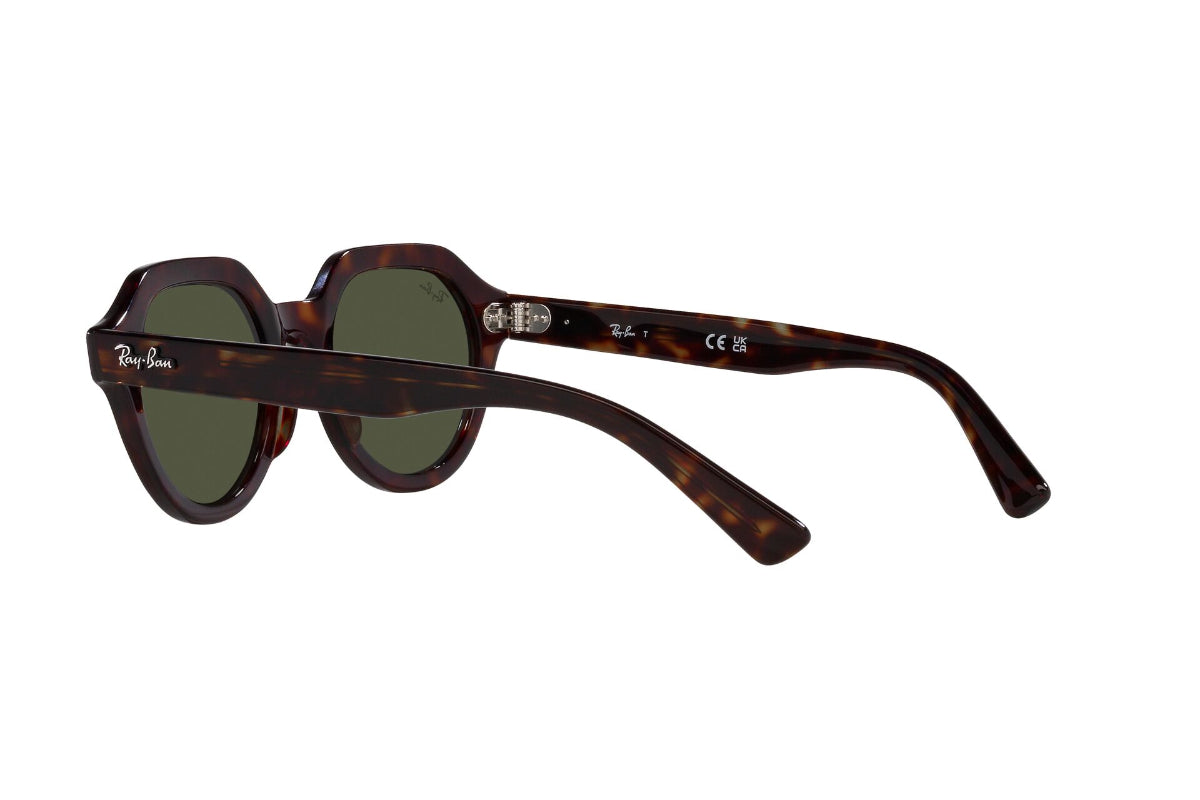Ray-Ban Lentes de Sol Gina RB4399