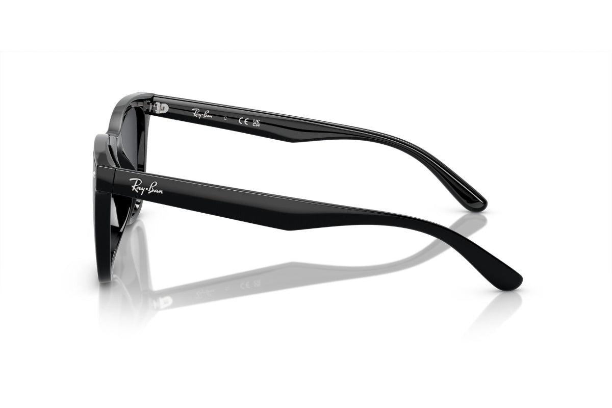 Ray-Ban Lentes de Sol RB4420