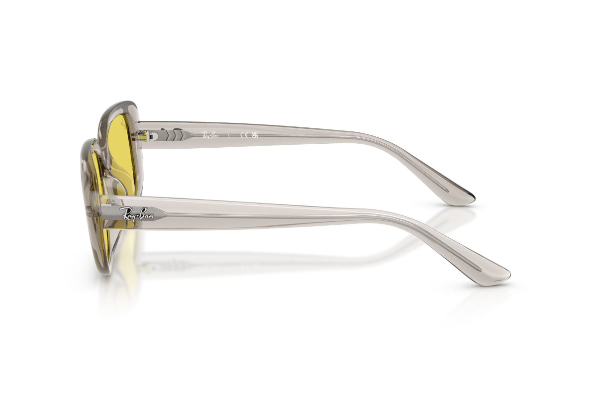 Ray-Ban Lentes de Sol RB4421D