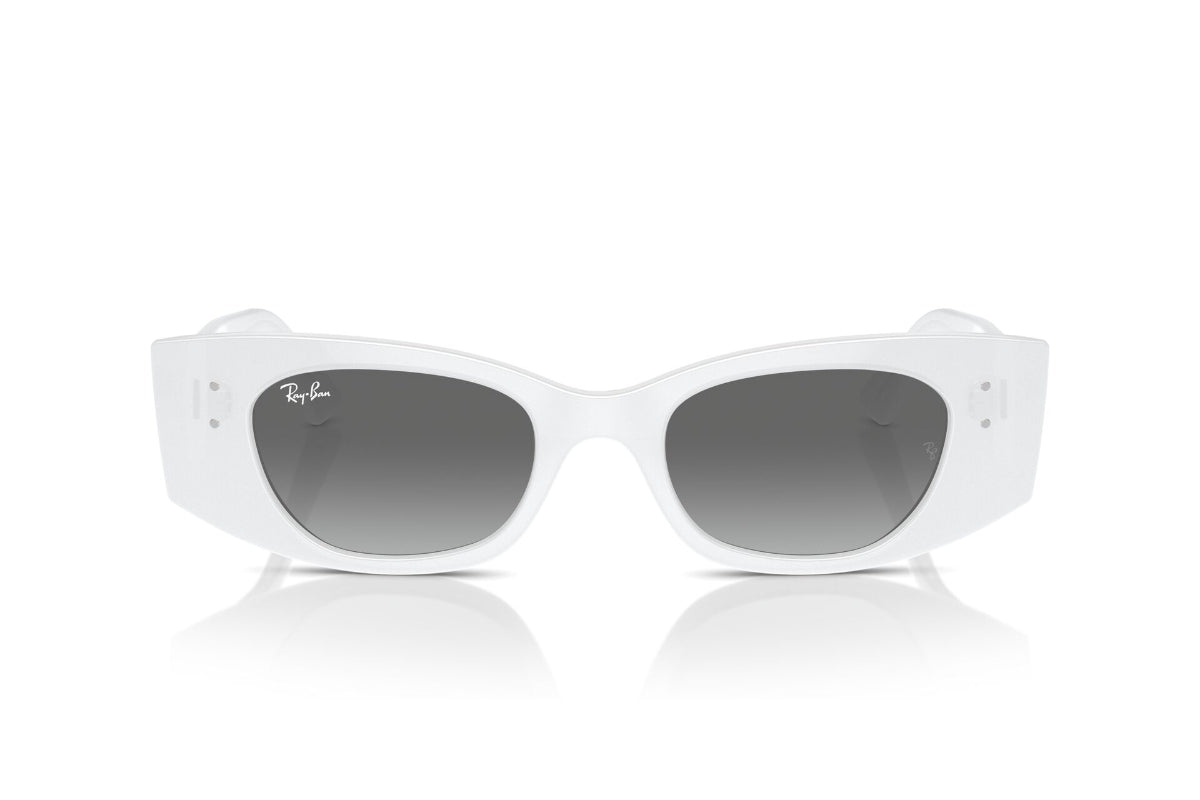 Ray-Ban Lentes de Sol Kat Degradados RB4427