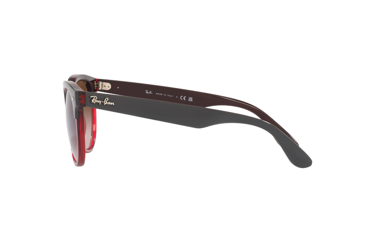 Ray-Ban Lentes de Sol Iris RB4471