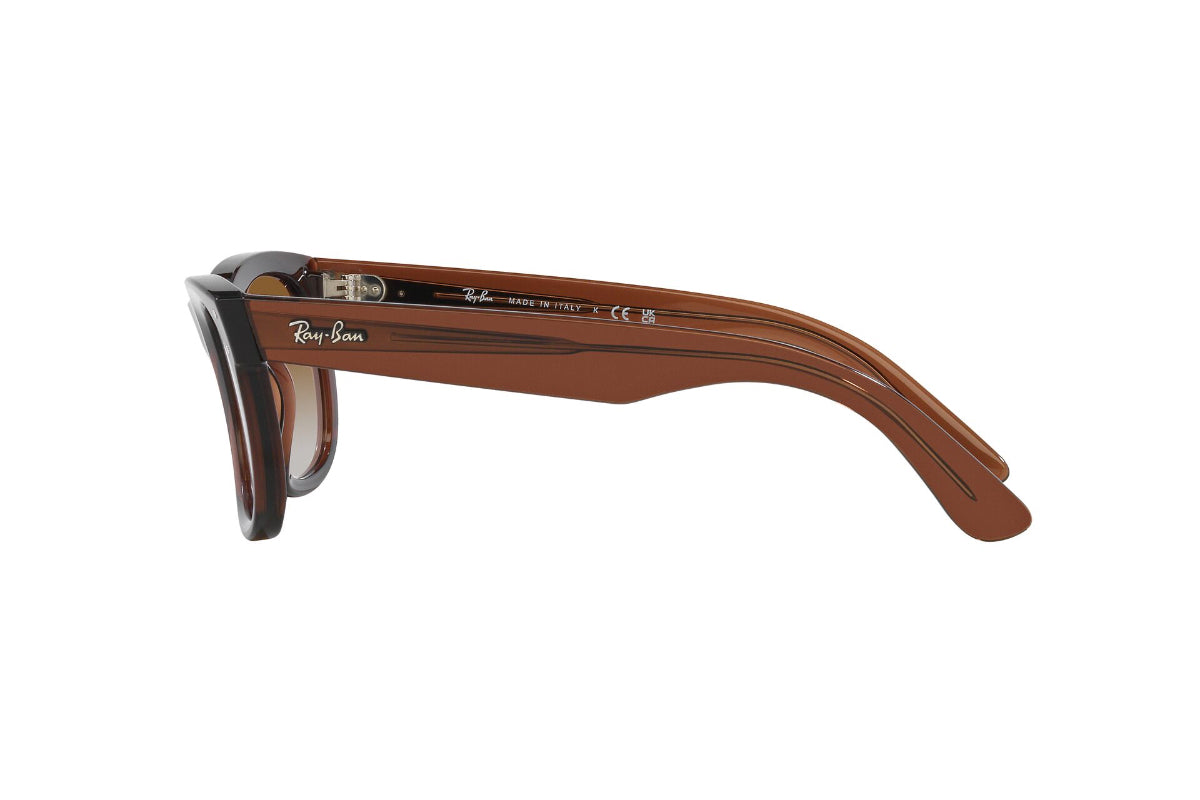 Ray-Ban Lentes de Sol Wayfarer Reverse RBR0502S
