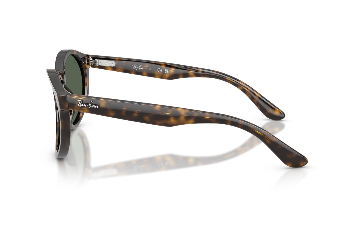 Ray-Ban Lentes de Sol Round Reverse RBR0505S