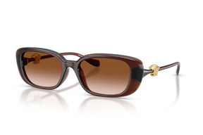 Versace Lentes de Sol Medusa Degradados VE4504D